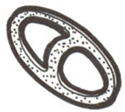 Picture of A13461 ~ Tail Light Door Gasket